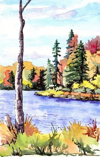 Picture