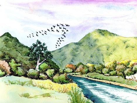 Picture